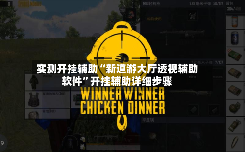 实测开挂辅助“新道游大厅透视辅助软件”开挂辅助详细步骤-第3张图片