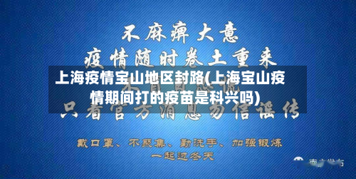 上海疫情宝山地区封路(上海宝山疫情期间打的疫苗是科兴吗)-第1张图片