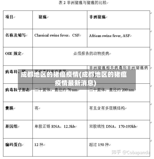 成都地区的猪瘟疫情(成都地区的猪瘟疫情最新消息)-第1张图片