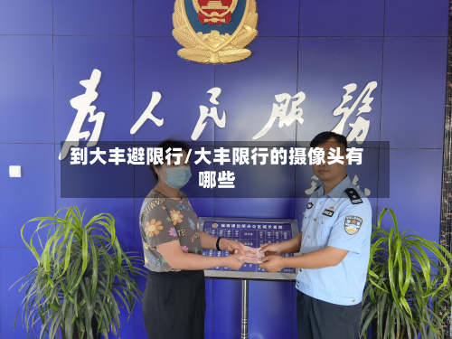 到大丰避限行/大丰限行的摄像头有哪些-第1张图片