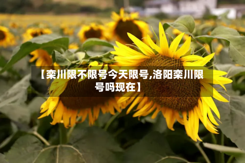 【栾川限不限号今天限号,洛阳栾川限号吗现在】-第2张图片