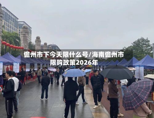 儋州市下今天限什么号/海南儋州市限购政策2026年-第2张图片