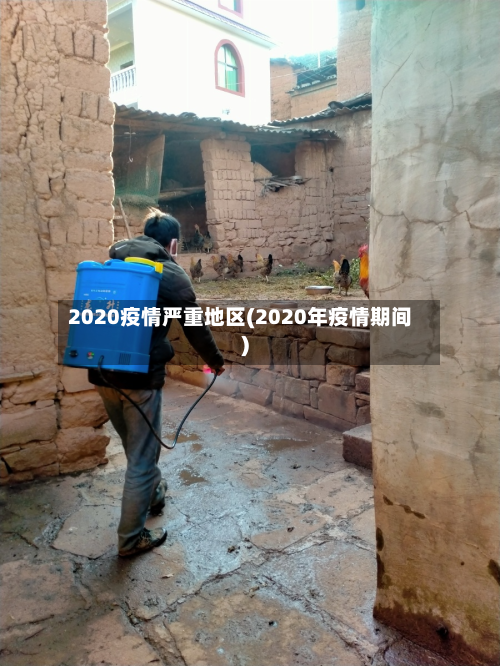 2020疫情严重地区(2020年疫情期间)-第2张图片