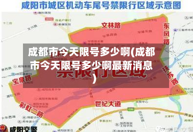 成都市今天限号多少啊(成都市今天限号多少啊最新消息)