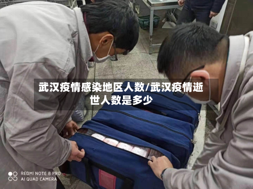 武汉疫情感染地区人数/武汉疫情逝世人数是多少