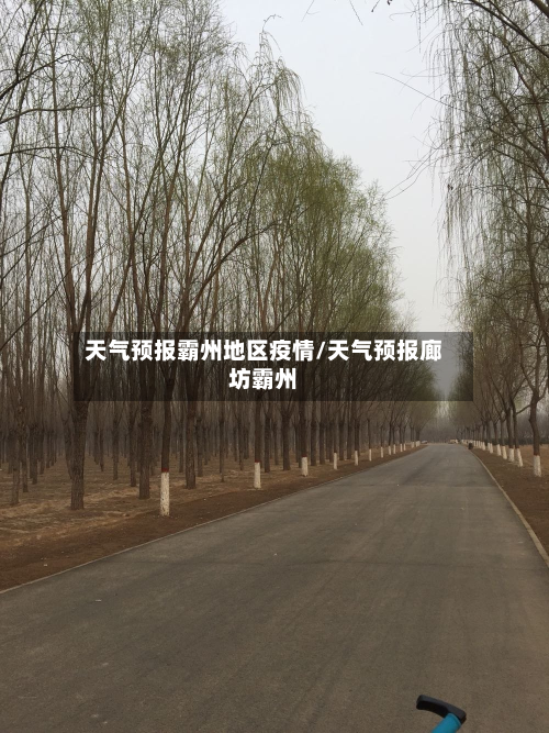 天气预报霸州地区疫情/天气预报廊坊霸州