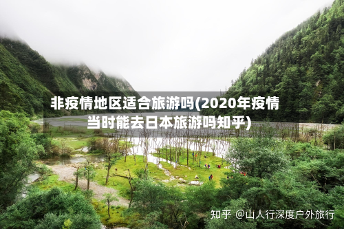 非疫情地区适合旅游吗(2020年疫情当时能去日本旅游吗知乎)-第2张图片