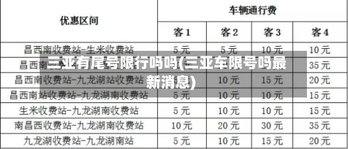 三亚有尾号限行吗吗(三亚车限号吗最新消息)-第2张图片