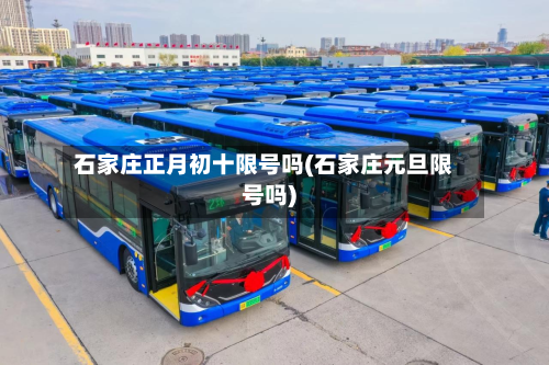 石家庄正月初十限号吗(石家庄元旦限号吗)