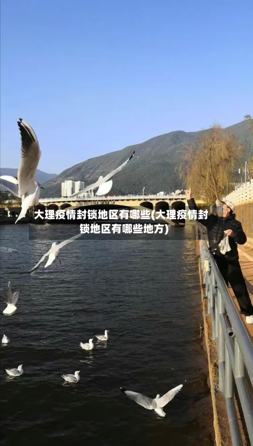 大理疫情封锁地区有哪些(大理疫情封锁地区有哪些地方)