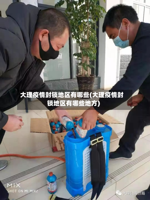 大理疫情封锁地区有哪些(大理疫情封锁地区有哪些地方)-第3张图片