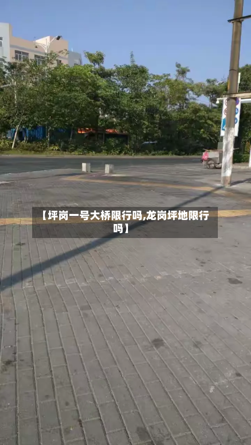 【坪岗一号大桥限行吗,龙岗坪地限行吗】-第1张图片