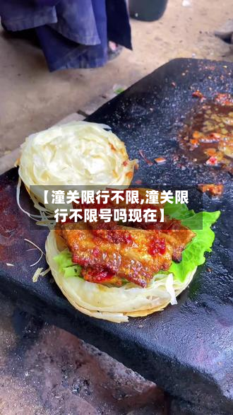 【潼关限行不限,潼关限行不限号吗现在】-第2张图片