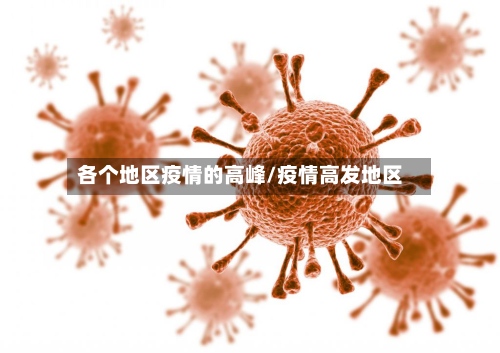 各个地区疫情的高峰/疫情高发地区