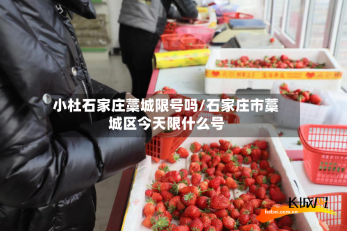 小杜石家庄藁城限号吗/石家庄市藁城区今天限什么号-第2张图片