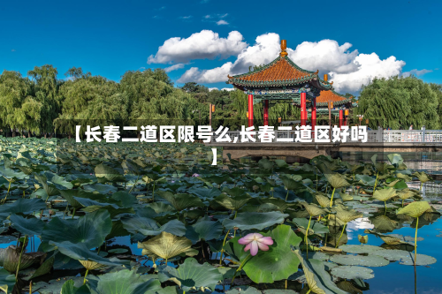 【长春二道区限号么,长春二道区好吗】