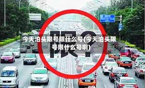 今天泊头限号限什么号(今天泊头限号限什么号啊)-第2张图片
