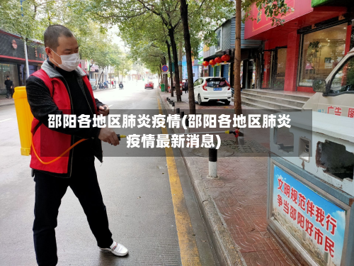 邵阳各地区肺炎疫情(邵阳各地区肺炎疫情最新消息)-第3张图片