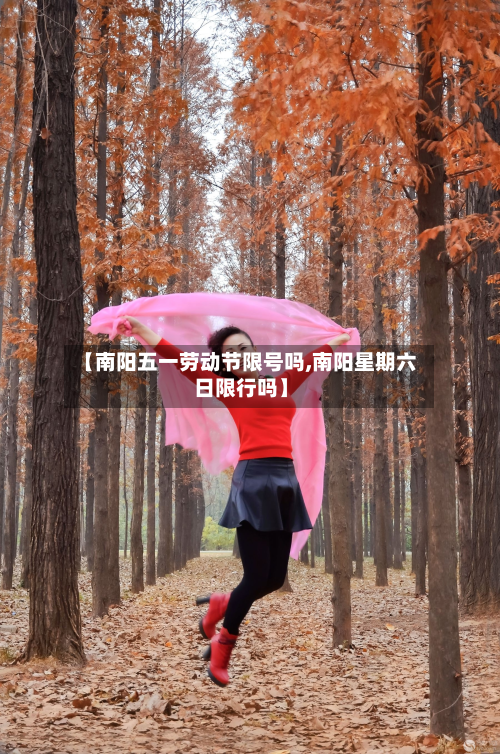 【南阳五一劳动节限号吗,南阳星期六日限行吗】