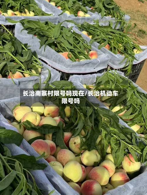 长治南寨村限号吗现在/长治机动车限号吗-第2张图片