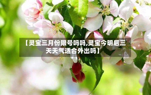 【灵宝三月份限号吗吗,灵宝今明后三天天气适合外出吗】
