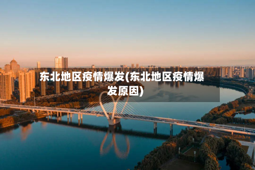 东北地区疫情爆发(东北地区疫情爆发原因)