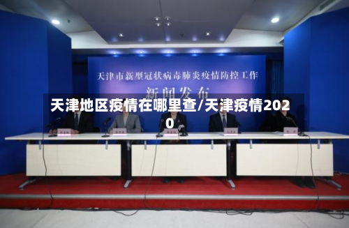 天津地区疫情在哪里查/天津疫情2020-第3张图片