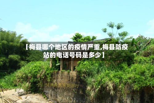 【梅县哪个地区的疫情严重,梅县防疫站的电话号码是多少】