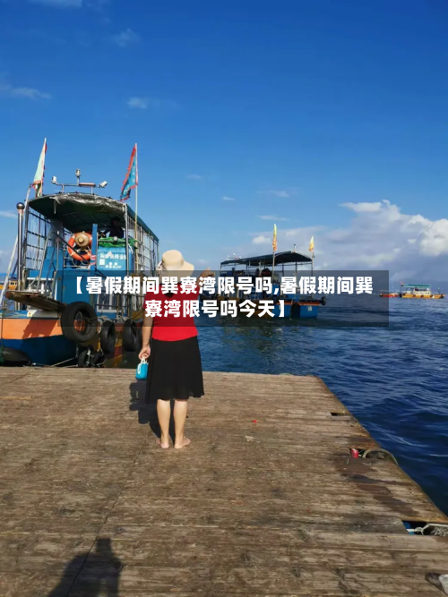 【暑假期间巽寮湾限号吗,暑假期间巽寮湾限号吗今天】