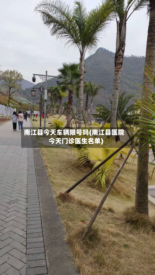南江县今天车辆限号吗(南江县医院今天门诊医生名单)