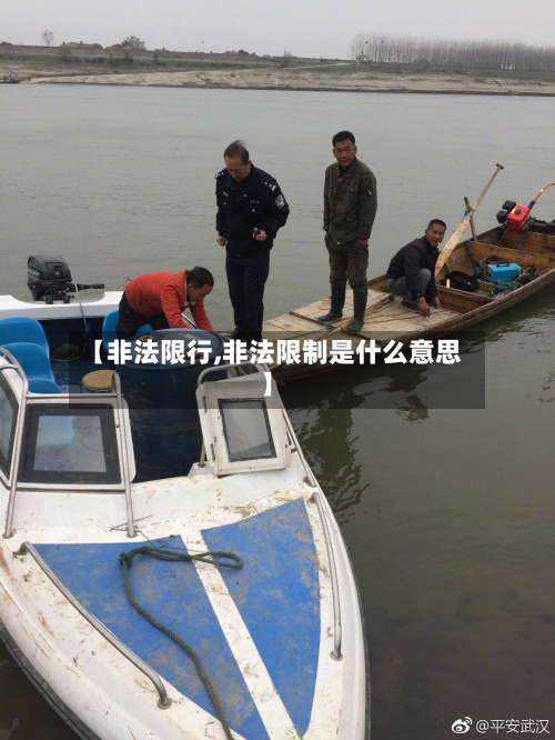 【非法限行,非法限制是什么意思】