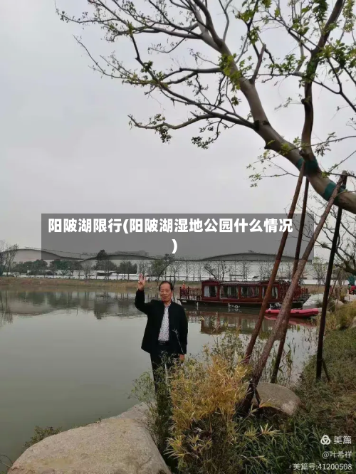 阳陂湖限行(阳陂湖湿地公园什么情况)