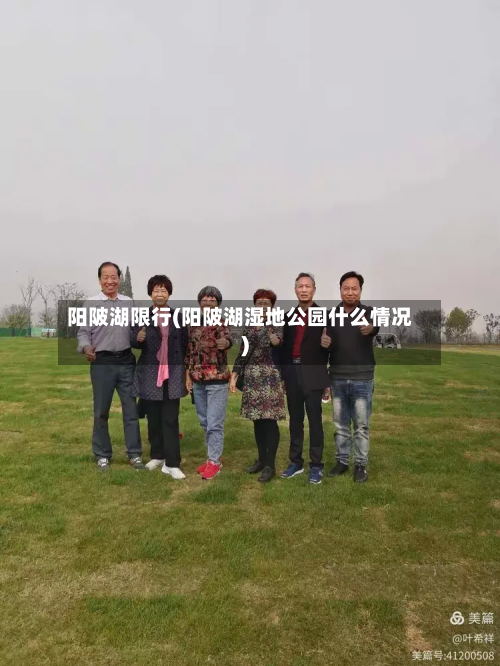 阳陂湖限行(阳陂湖湿地公园什么情况)-第2张图片