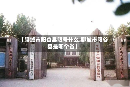 【聊城市阳谷县限号什么,聊城市阳谷县是哪个省】
