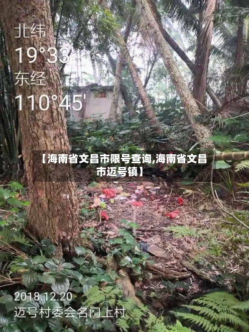 【海南省文昌市限号查询,海南省文昌市迈号镇】