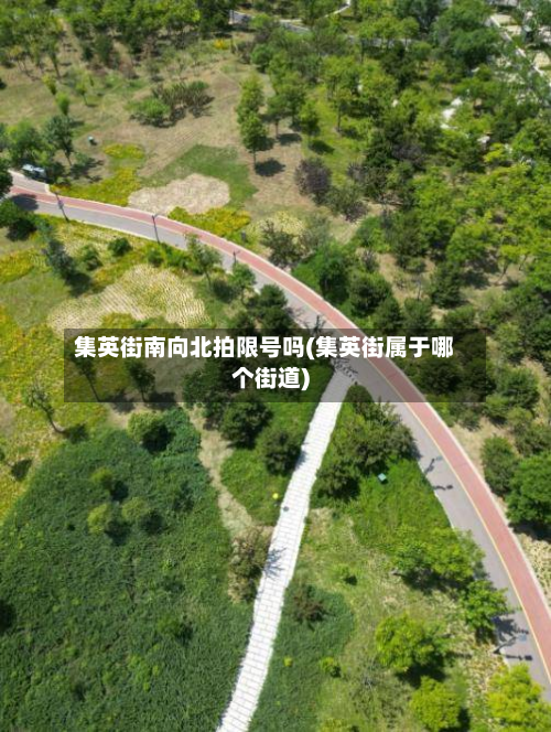 集英街南向北拍限号吗(集英街属于哪个街道)