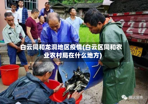 白云同和龙洞地区疫情(白云区同和农业农村局在什么地方)-第2张图片