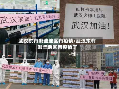 武汉东有哪些地区有疫情/武汉东有哪些地区有疫情了-第1张图片