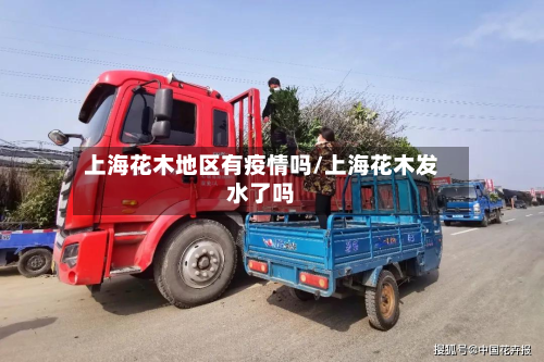 上海花木地区有疫情吗/上海花木发水了吗