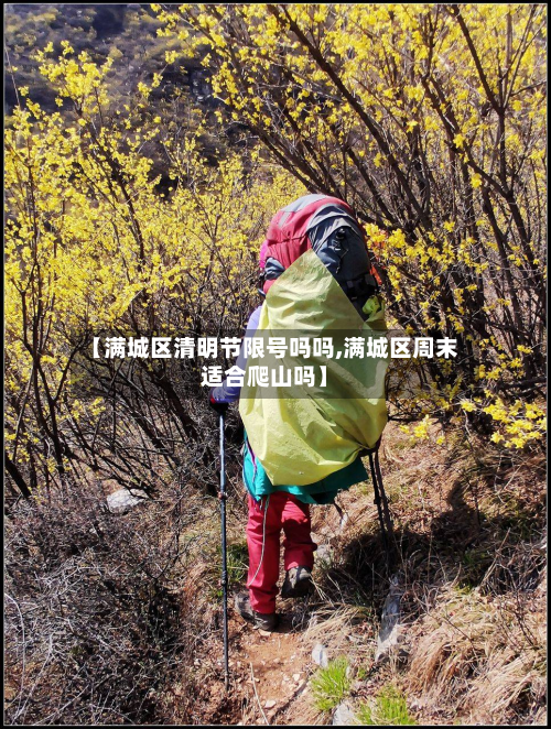 【满城区清明节限号吗吗,满城区周末适合爬山吗】