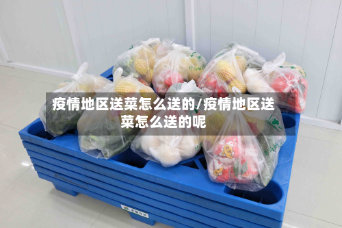 疫情地区送菜怎么送的/疫情地区送菜怎么送的呢