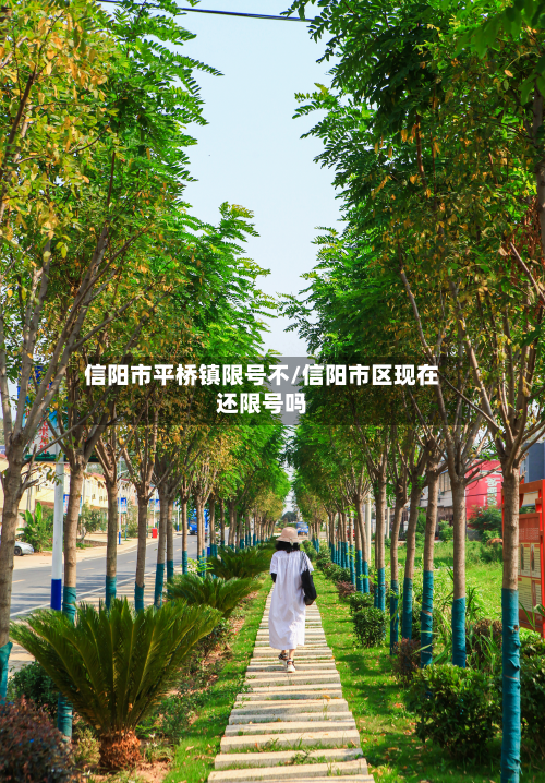 信阳市平桥镇限号不/信阳市区现在还限号吗-第1张图片