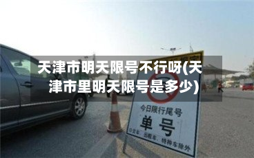 天津市明天限号不行呀(天津市里明天限号是多少)