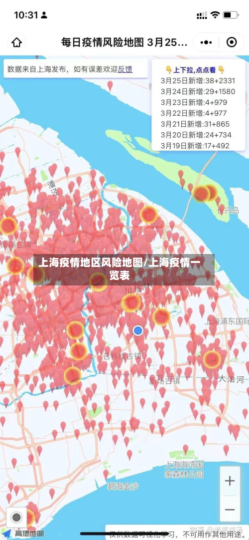 上海疫情地区风险地图/上海疫情一览表