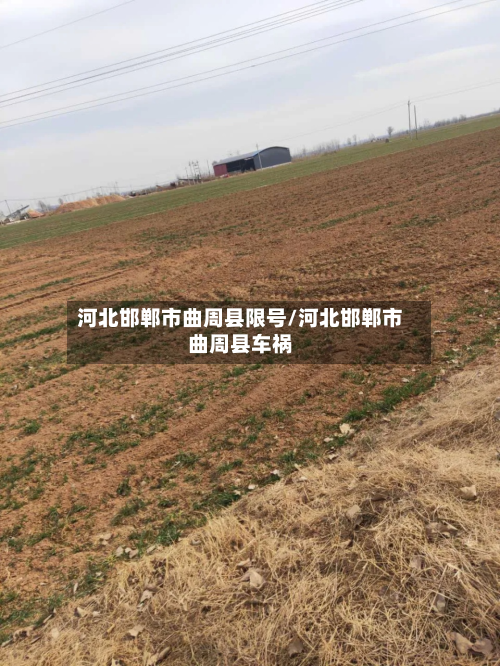 河北邯郸市曲周县限号/河北邯郸市曲周县车祸
