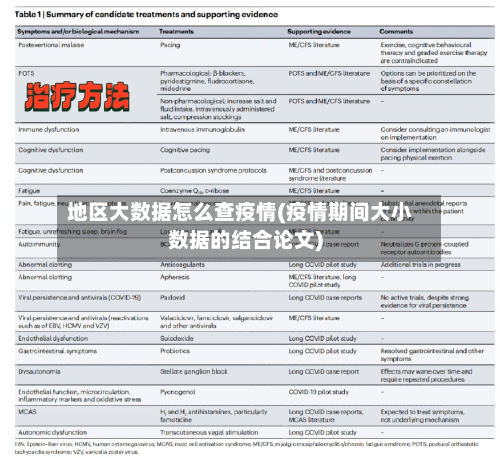 地区大数据怎么查疫情(疫情期间大小数据的结合论文)-第3张图片