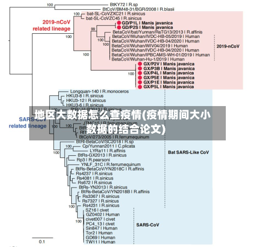地区大数据怎么查疫情(疫情期间大小数据的结合论文)-第2张图片