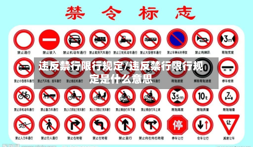 违反禁行限行规定/违反禁行限行规定是什么意思