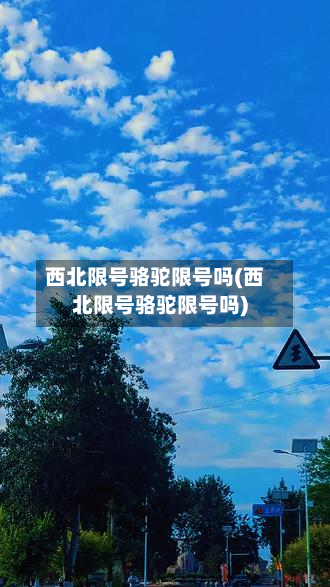 西北限号骆驼限号吗(西北限号骆驼限号吗)