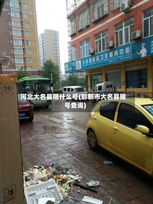 河北大名县限什么号(邯郸市大名县限号查询)-第3张图片